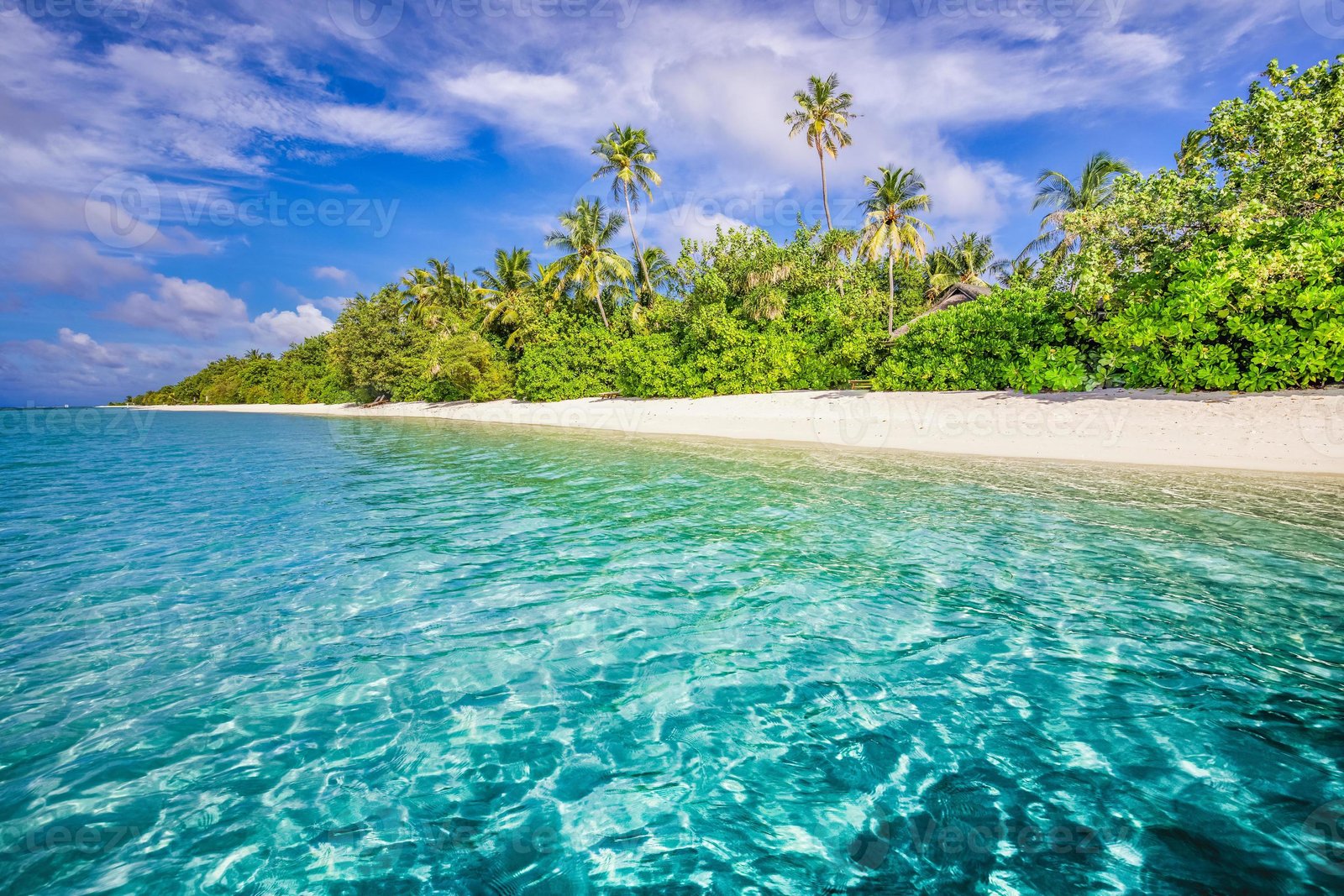 BEACH TOURS