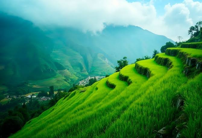 Mysore – Ooty