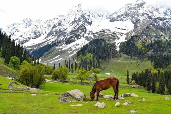 Kashmir & Ladakh